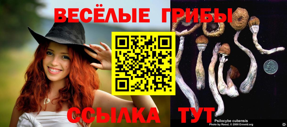 Псилоцибиновые грибы MAGIC MUSHROOMS Мытищи